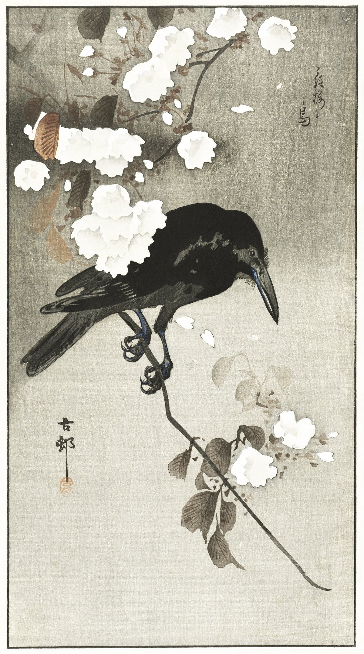 Ohara Koson — Crow with Cherry Blossom | Japanese Bird & Flower Woodblock Print - 9ArtPrints
