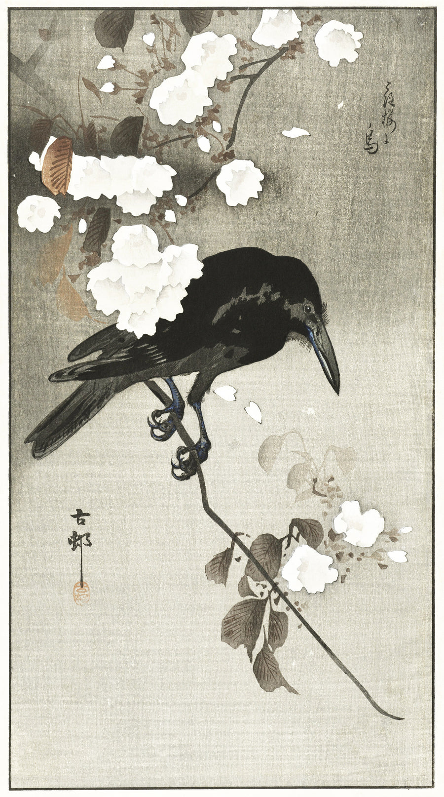 Ohara Koson — Crow with Cherry Blossom | Japanese Bird & Flower Woodblock Print shown to scale on a wall above a sofa