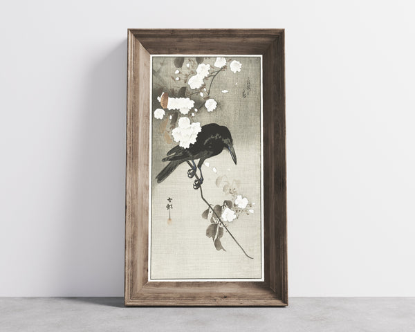 Ohara Koson — Crow with Cherry Blossom | Japanese Bird & Flower Woodblock Print