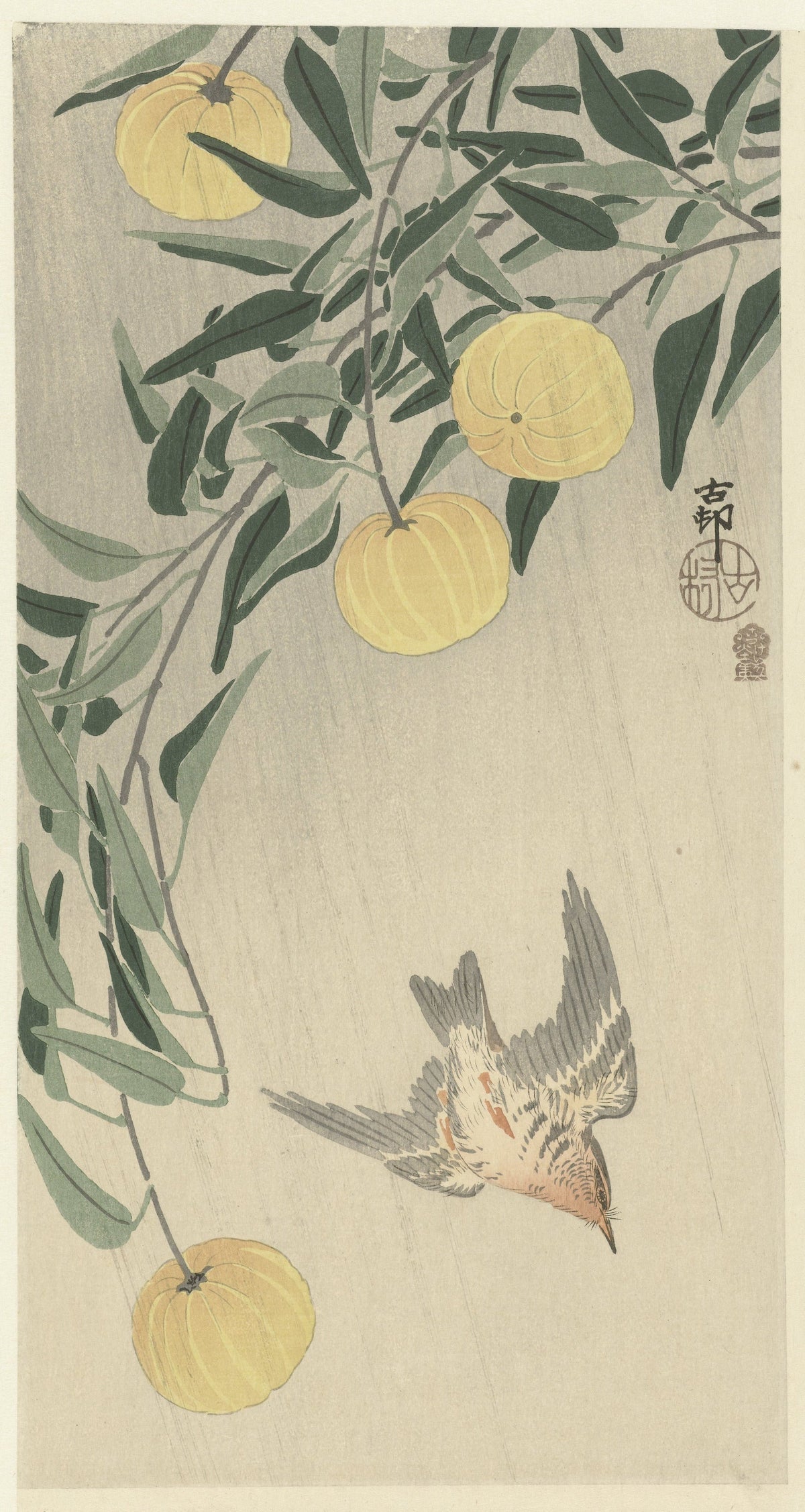 Ohara Koson — Cuckoo in the rain | Japanese Bird & Flower Woodblock Print - 9ArtPrints