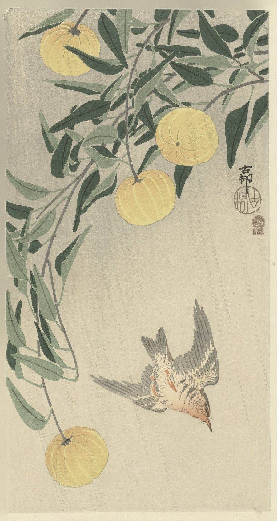 Ohara Koson — Cuckoo in the rain | Japanese Bird & Flower Woodblock Print shown to scale on a wall above a sofa