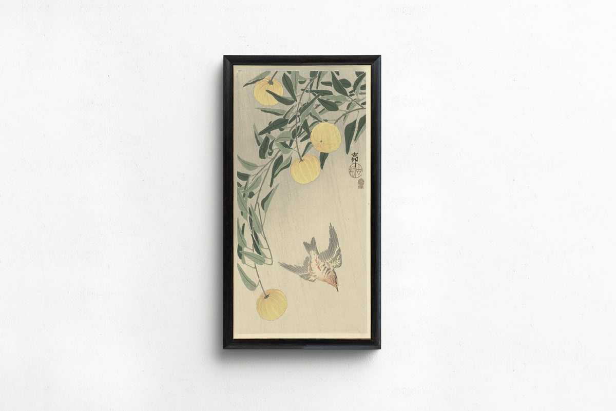 Ohara Koson — Cuckoo in the rain | Japanese Bird & Flower Woodblock Print - 9ArtPrints