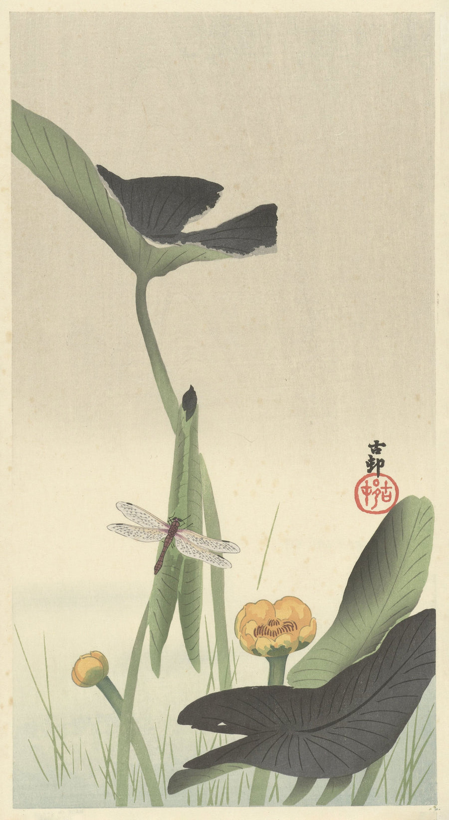 Ohara Koson — Dragonfly and Lotus | Japanese Bird & Flower Woodblock Print shown to scale on a wall above a sofa