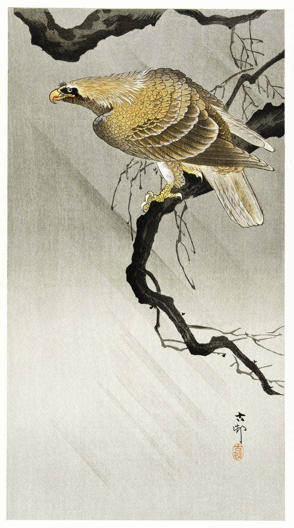 Ohara Koson — Eagle on Branch | Japanese Bird & Flower Woodblock Print