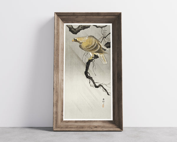 Ohara Koson — Eagle on Branch | Japanese Bird & Flower Woodblock Print
