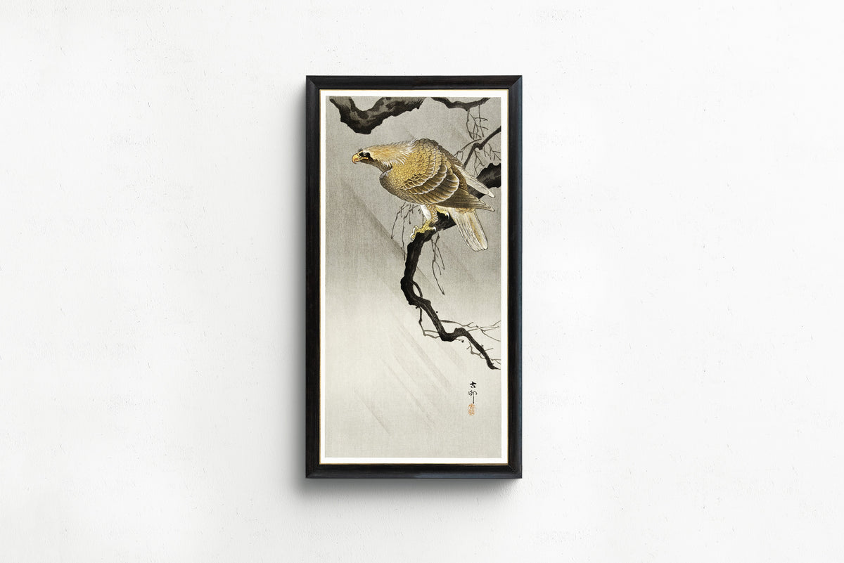 Ohara Koson — Eagle on Branch | Japanese Bird & Flower Woodblock Print - 9ArtPrints