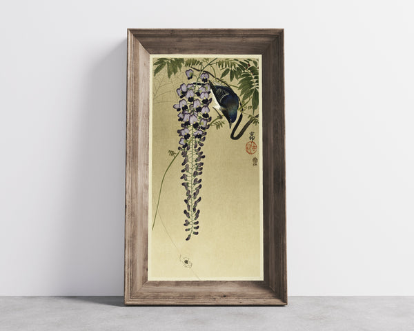 Ohara Koson — Flycatcher at Wisteria | Japanese Bird & Flower Woodblock Print
