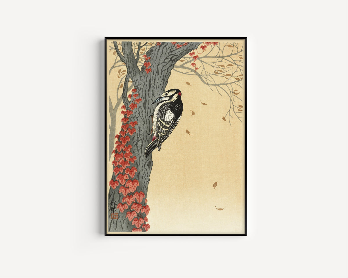 Great Spotted Woodpecker in Tree with Red Ivy by Ohara Koson — in a slim black frame on a plain white wall