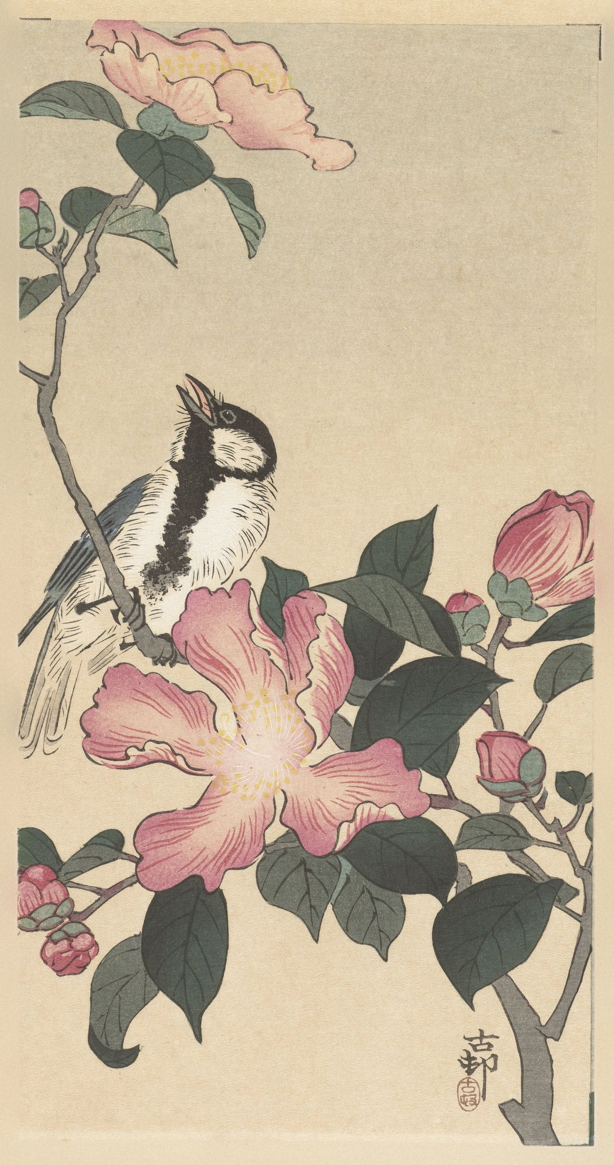 Ohara Koson — Great Tit on Branch with Pink Flowers | Japanese Bird & Flower Woodblock Print - 9ArtPrints