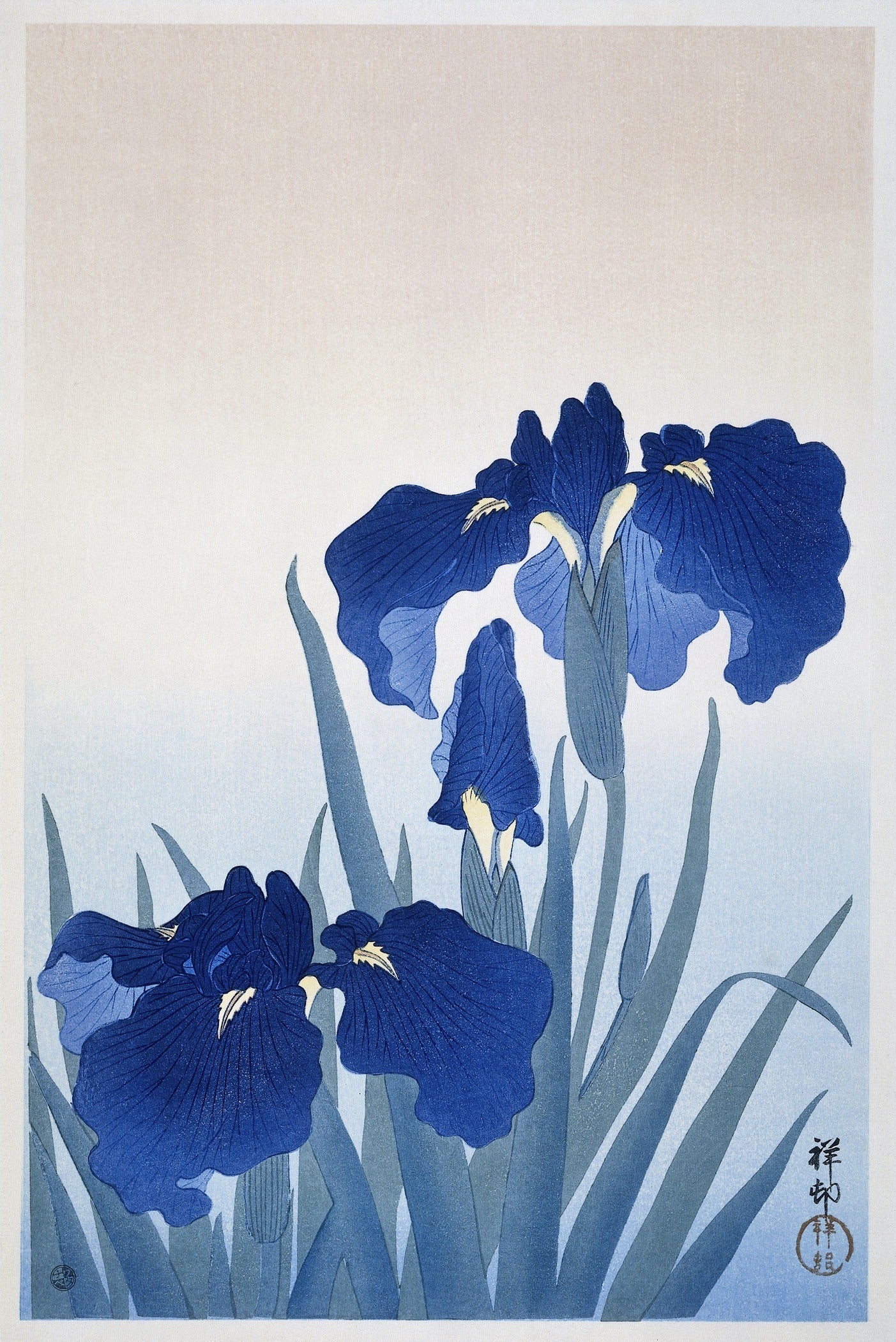Ohara Koson — Irises | Shin Hanga Print - 9ArtPrints