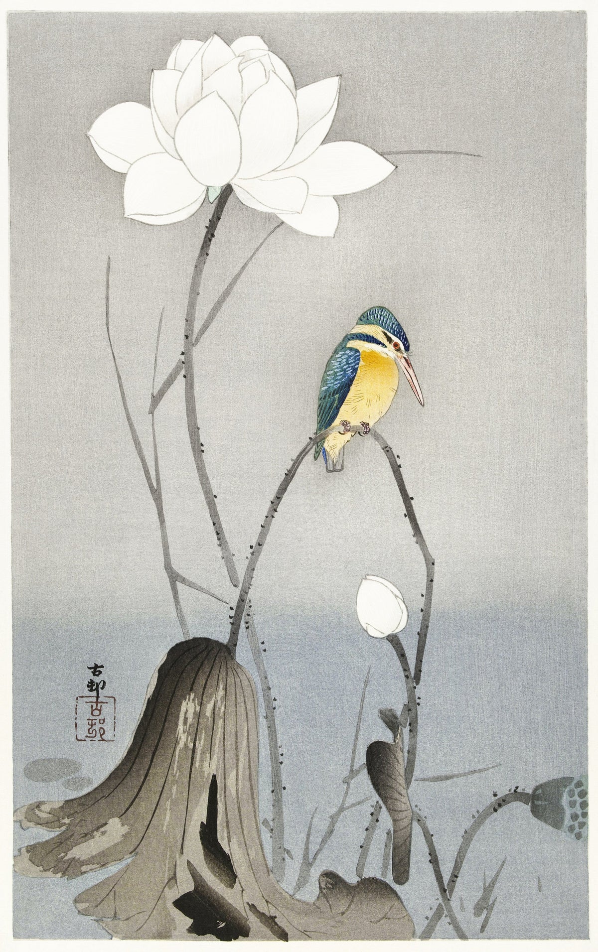 Ohara Koson — Kingfisher with Lotus Flower | Japanese Bird & Flower Woodblock Print - 9ArtPrints