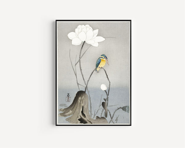 Ohara Koson — Kingfisher with Lotus Flower | Japanese Bird & Flower Woodblock Print
