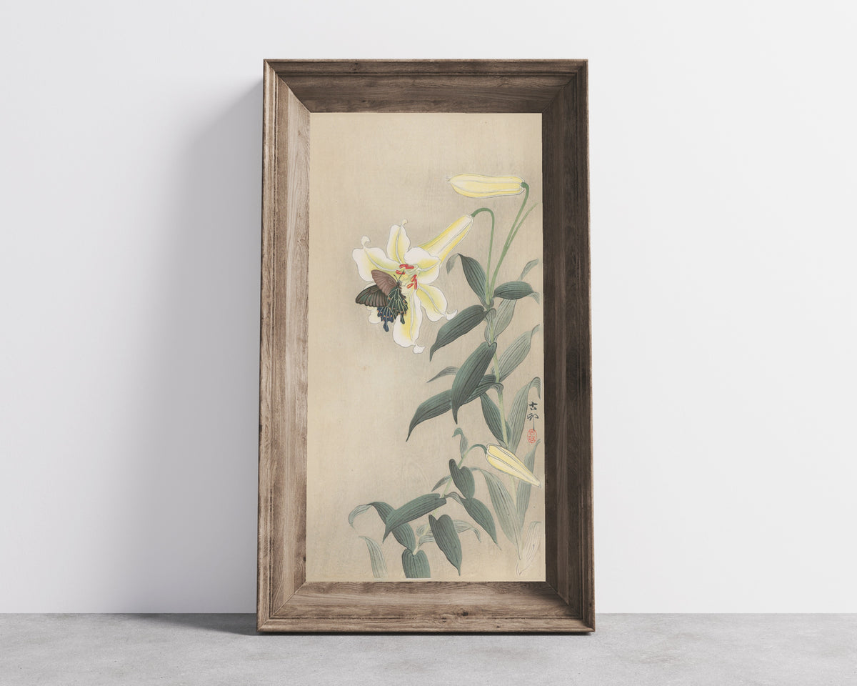 Lily and Black Swallowtail by Ohara Koson — shown framed on a wall