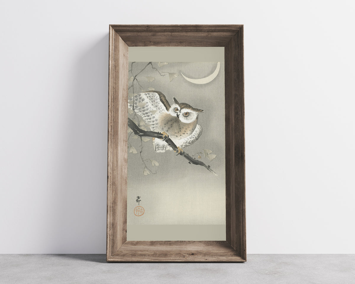Long-eared Owl in Ginkgo by Ohara Koson — in a wide wooden frame leaning against a concrete wall