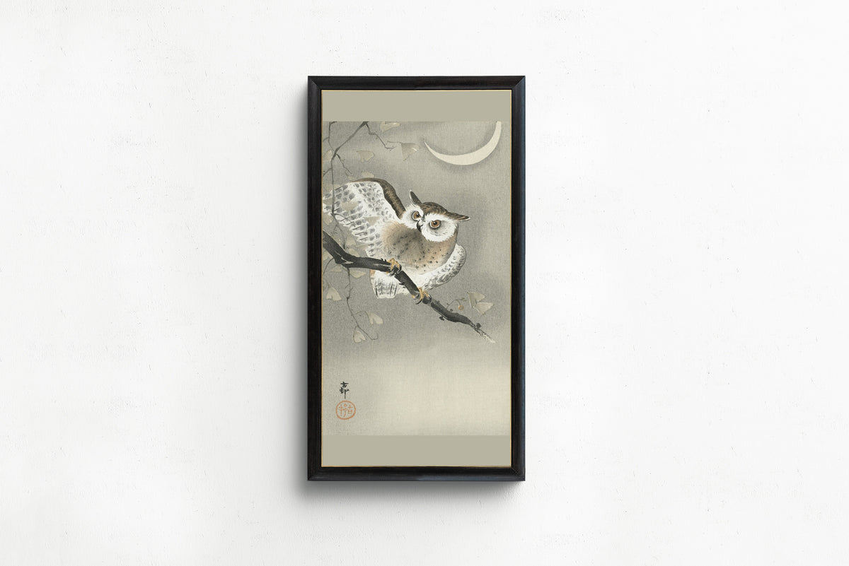 Long-eared Owl in Ginkgo by Ohara Koson — in a slim black frame on a plain white wall