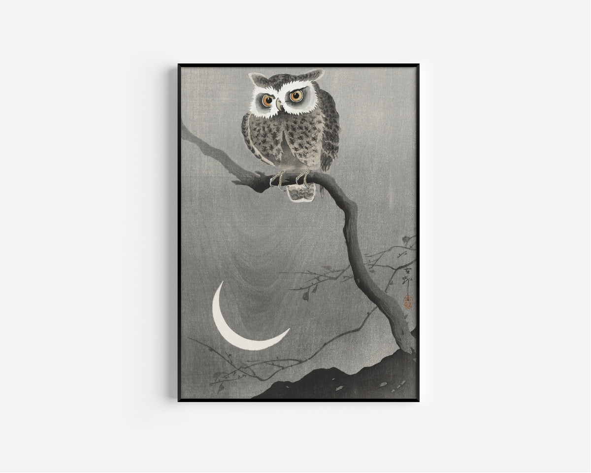 Long-eared Owl on Bare Tree Branch by Ohara Koson — in a slim black frame on a plain white wall