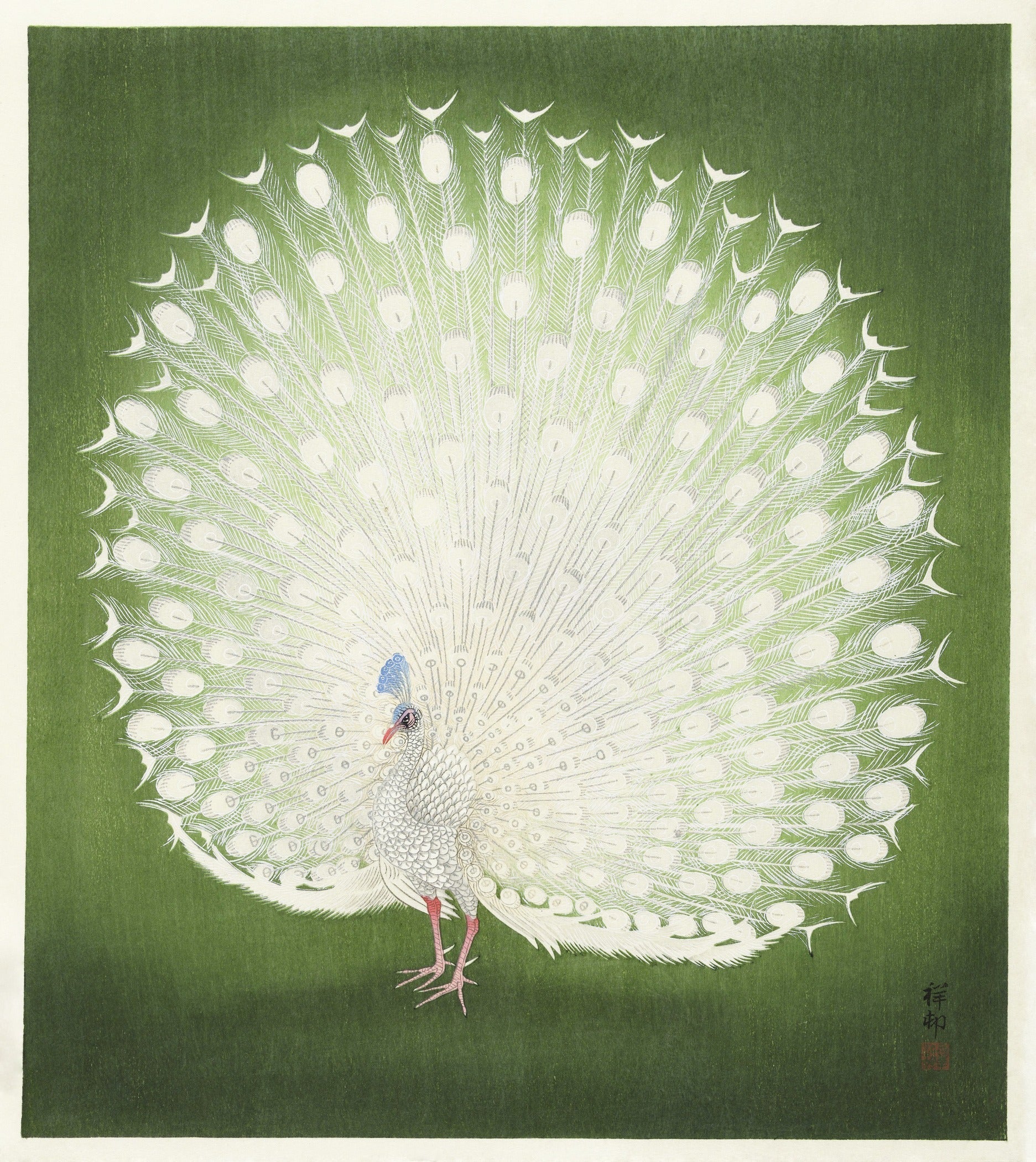 Ohara Koson — Peacock | Shin Hanga Print - 9ArtPrints