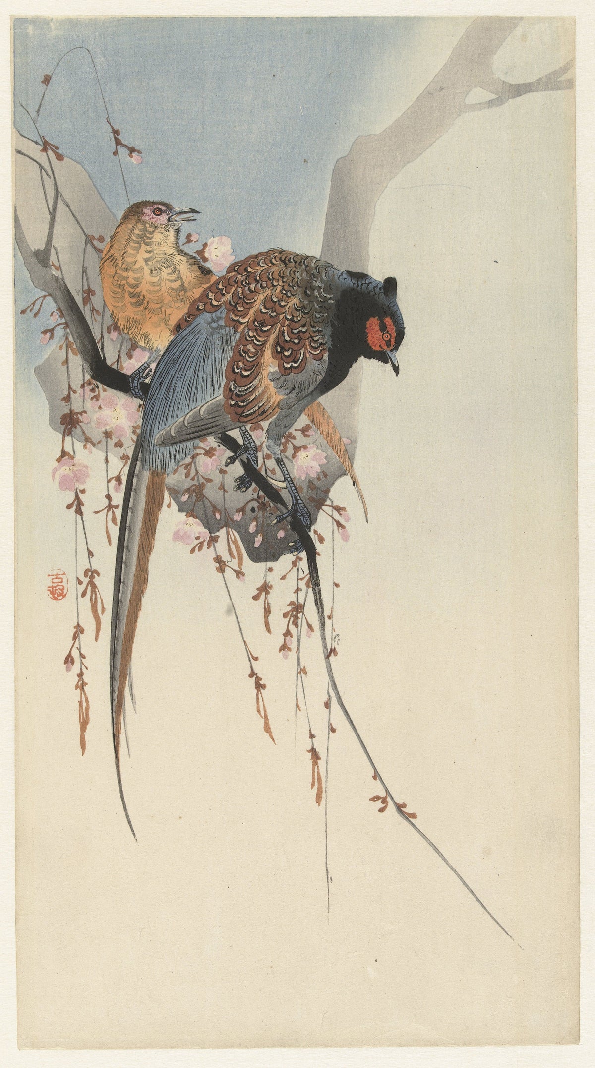 Ohara Koson — Pheasant Couple and Plum Blossom | Japanese Bird & Flower Woodblock Print - 9ArtPrints