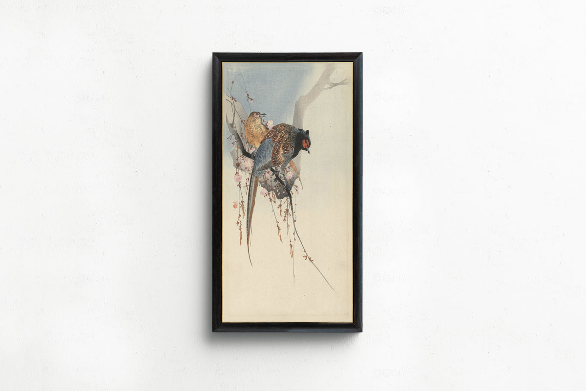 Ohara Koson — Pheasant Couple and Plum Blossom | Japanese Bird & Flower Woodblock Print - 9ArtPrints