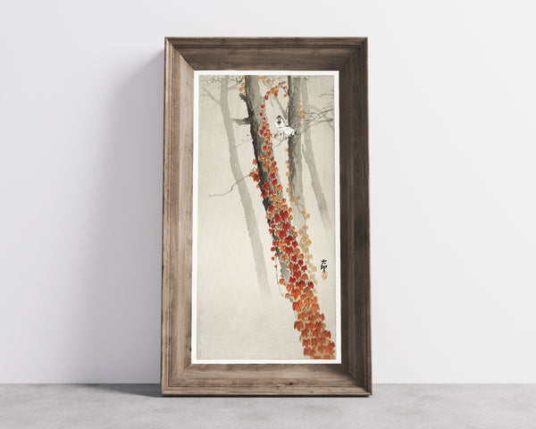 Ohara Koson — Red ivy | Japanese Bird & Flower Woodblock Print