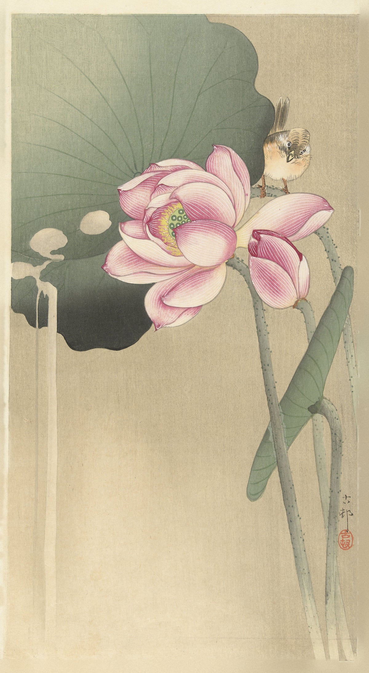 Ohara Koson — Songbird and Lotus | Japanese Bird & Flower Woodblock Print - 9ArtPrints
