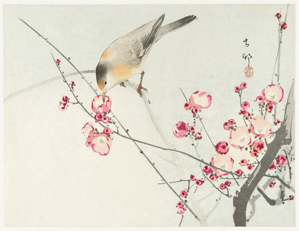 Ohara Koson — Songbird on Blossom Branch | Japanese Bird & Flower Woodblock Print