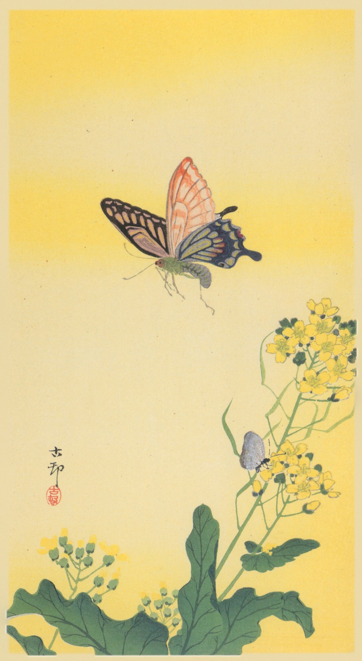 Ohara Koson — Swallowtail and Rapeseed Flowers | Japanese Bird & Flower Woodblock Print - 9ArtPrints