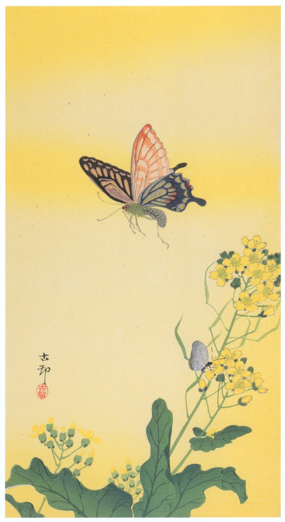 Ohara Koson — Swallowtail and Rapeseed Flowers | Japanese Bird & Flower Woodblock Print - 9ArtPrints