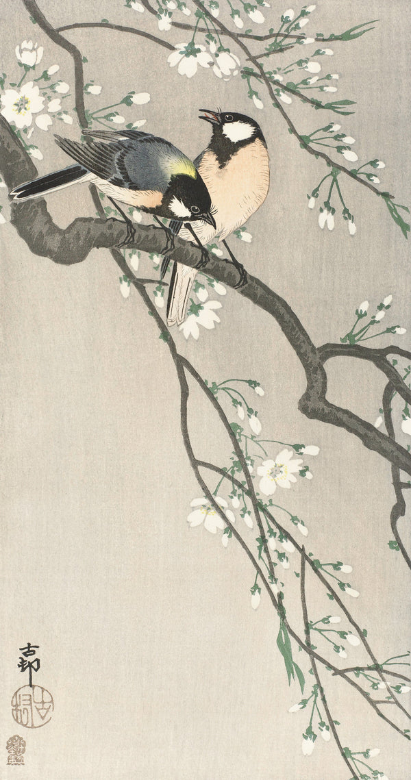 Ohara Koson — Tits on Cherry Branch | Japanese Bird & Flower Woodblock Print