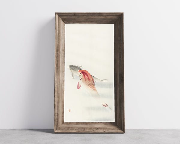Ohara Koson — Two Carp | Japanese Bird & Flower Woodblock Print