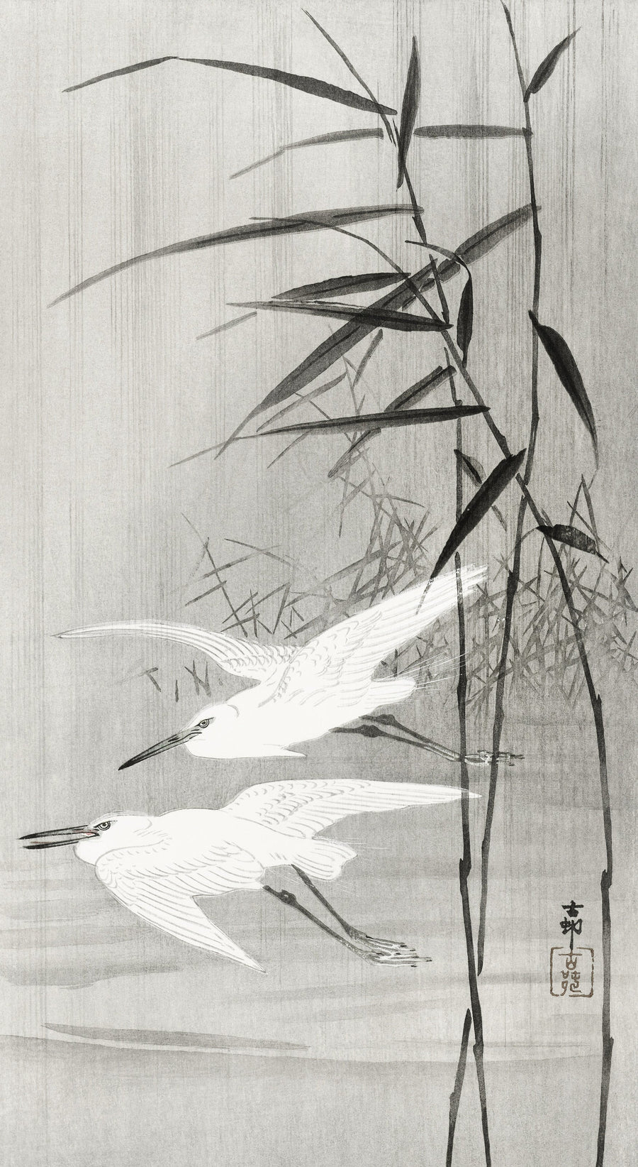 Ohara Koson — Two Egrets in Flight | Japanese Bird & Flower Woodblock Print shown to scale on a wall above a sofa