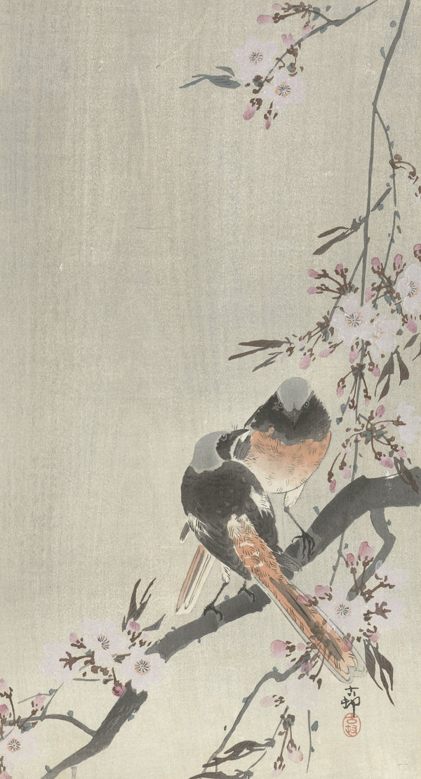 Ohara Koson — Two Redstarts with Cherry Blossom | Japanese Bird & Flower Woodblock Print
