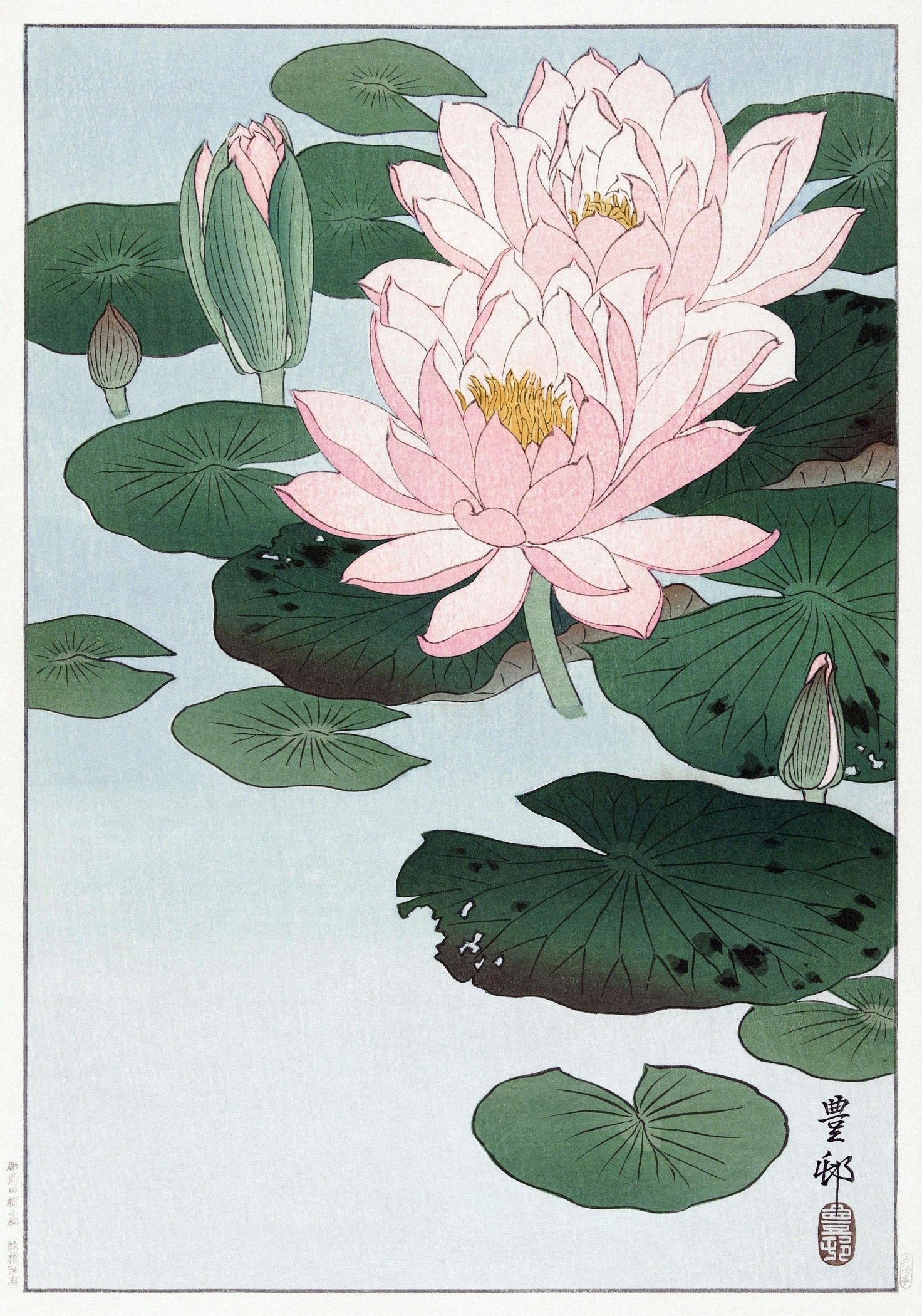 Ohara Koson — Waterlilies | Shin Hanga Print - 9ArtPrints