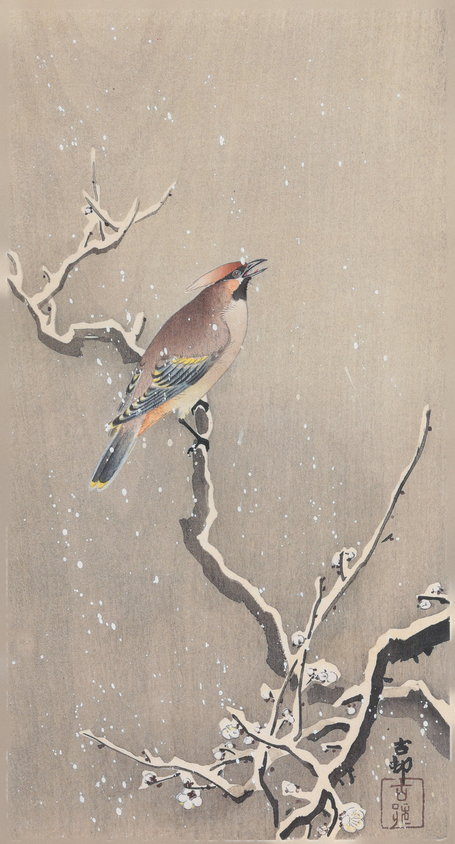 Ohara Koson — Waxwing on Snowy Plum | Japanese Bird & Flower Woodblock Print shown to scale on a wall above a sofa