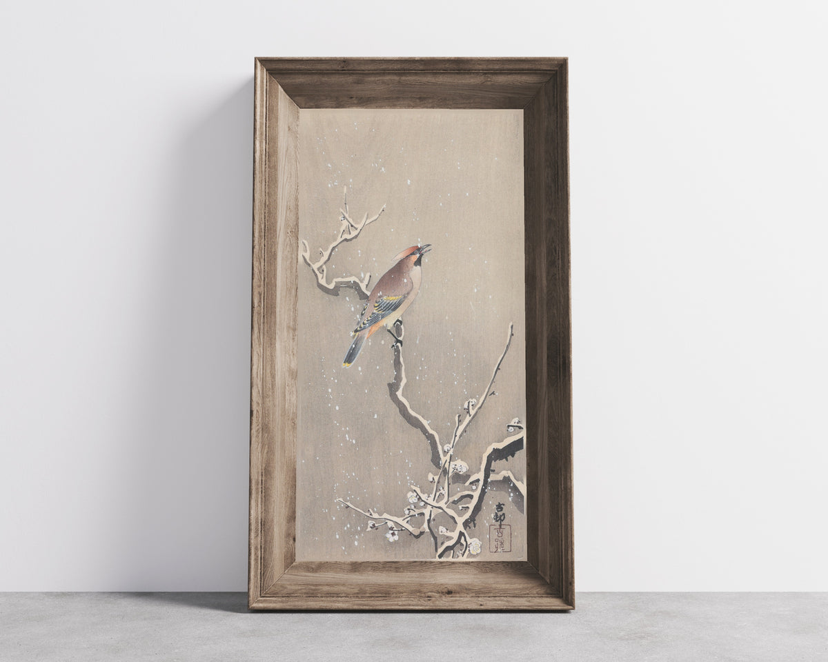 Waxwing on Snowy Plum by Ohara Koson — shown framed on a wall