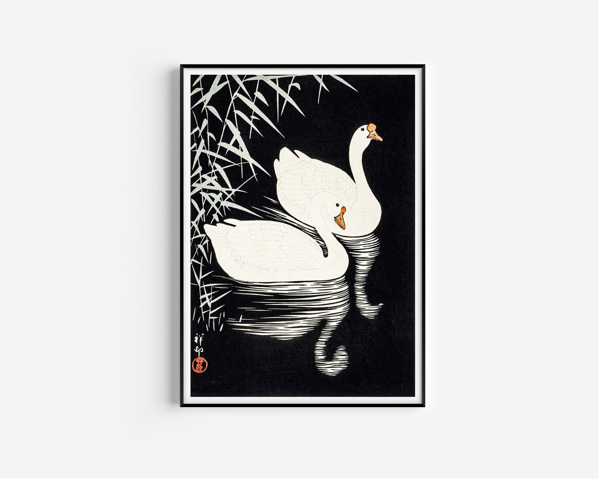 Ohara Koson — White Chinese Geese Swimming by Reeds | Japanese Bird & Flower Woodblock Print - 9ArtPrints