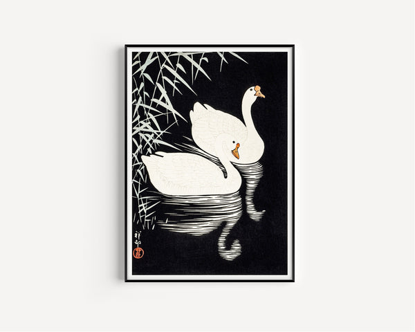 Ohara Koson — White Chinese Geese Swimming by Reeds | Japanese Bird & Flower Woodblock Print