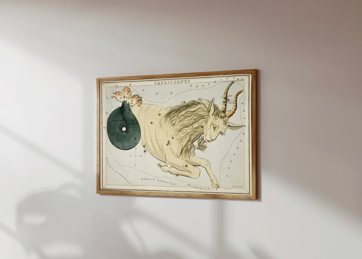 Framed art print of Capricorn by Sidney Hall, in a light wood frame on a sunlit white wall, seen at a slight angle