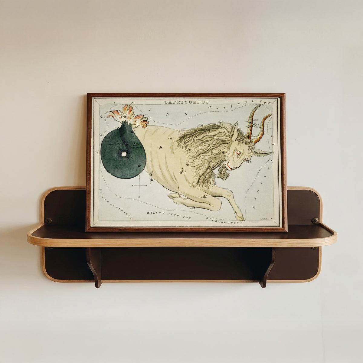 Framed art print of Capricorn by Sidney Hall, in a dark wood frame resting on a wall shelf