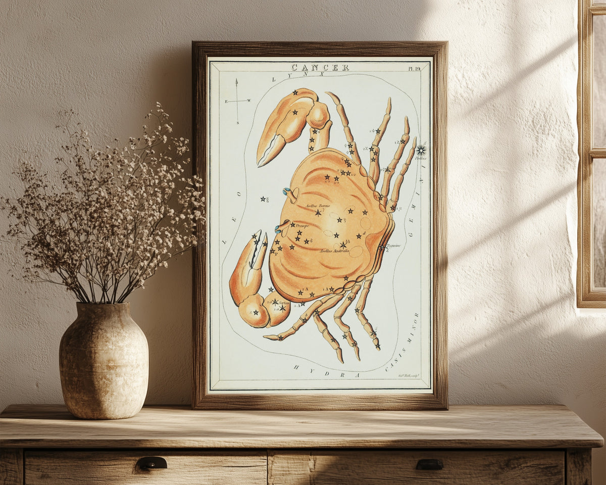 Framed art print of Cancer by Sidney Hall, in a dark wood frame leaning on a rustic console beside dried flowers