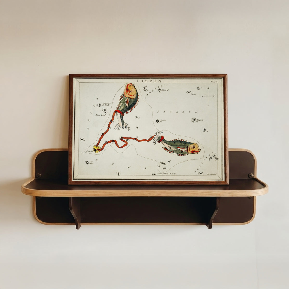 Framed art print of Pisces by Sidney Hall, in a dark wood frame resting on a wall shelf