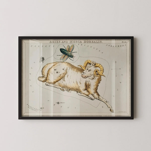 Sidney Hall — Aries | Vintage Celestial Star Chart Print