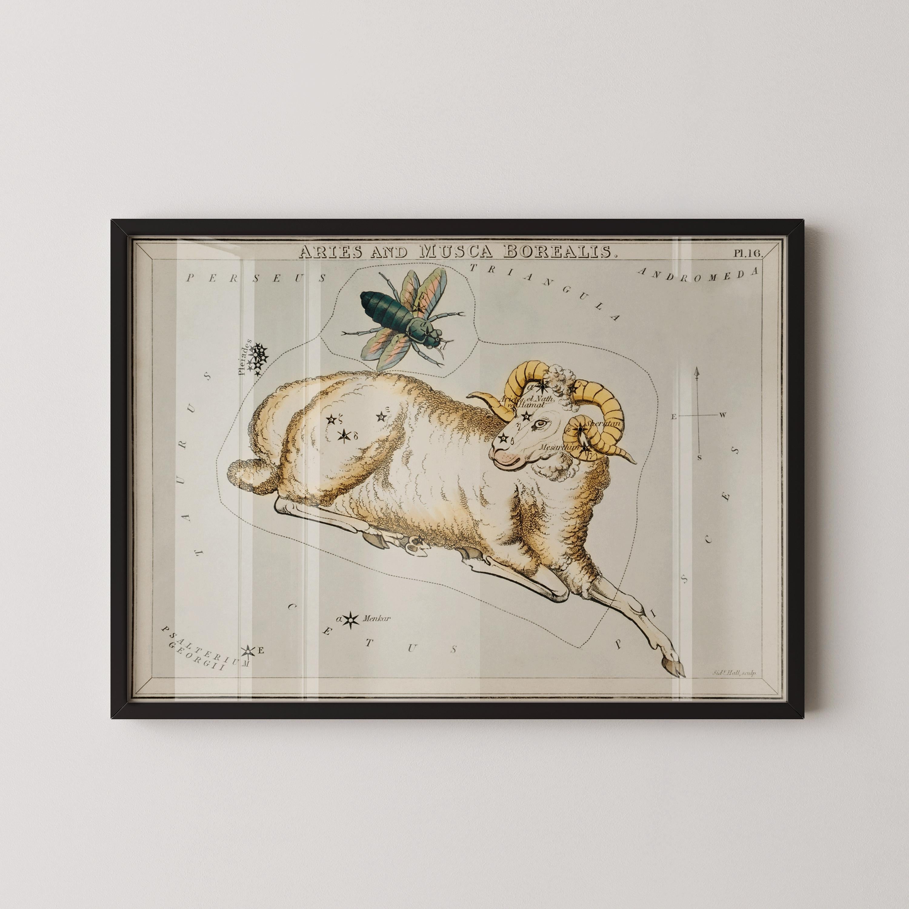 Personalizable Vintage Astrological Sign Print - Aries | Sidney Hall Art (available handframed or unframed) - 9ArtPrints