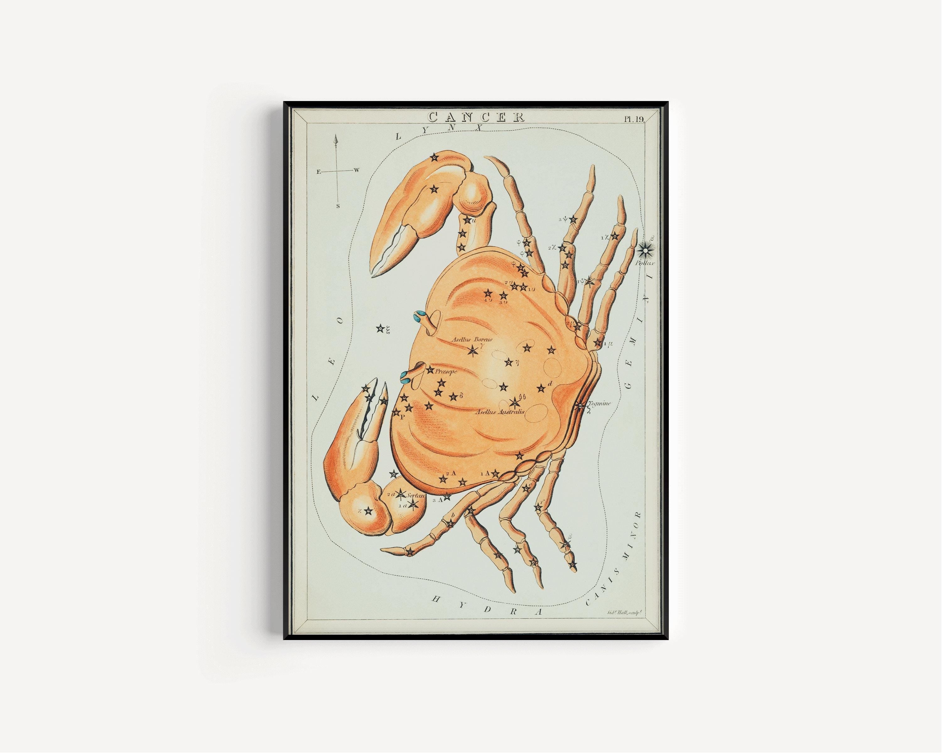 Personalizable Vintage Astrological Sign Print - Cancer | Sidney Hall Art (available handframed or unframed) - 9ArtPrints