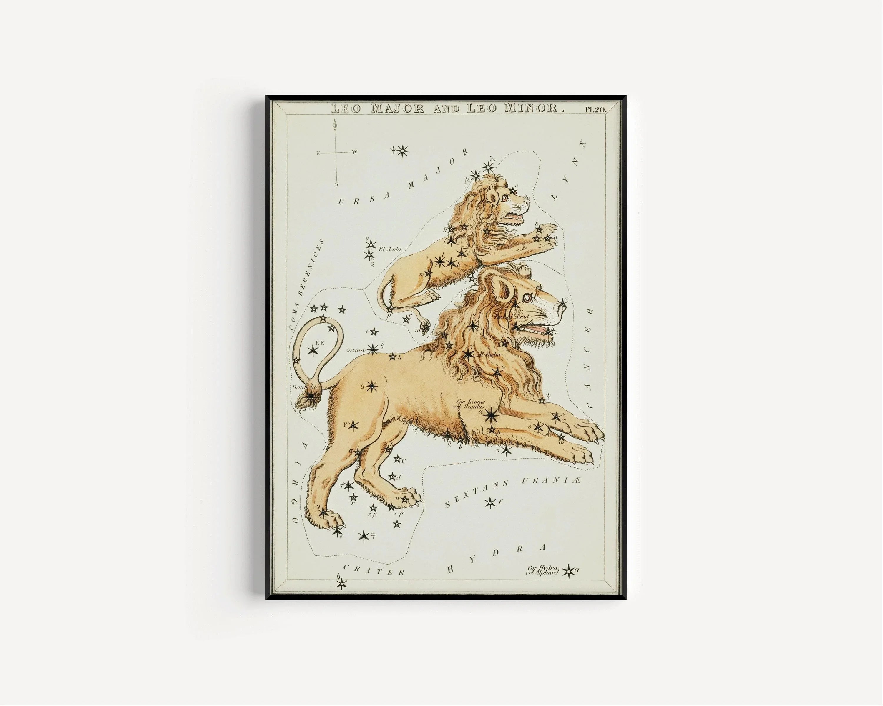 Personalizable Vintage Astrological Sign Print - Leo | Sidney Hall Art (available handframed or unframed) - 9ArtPrints