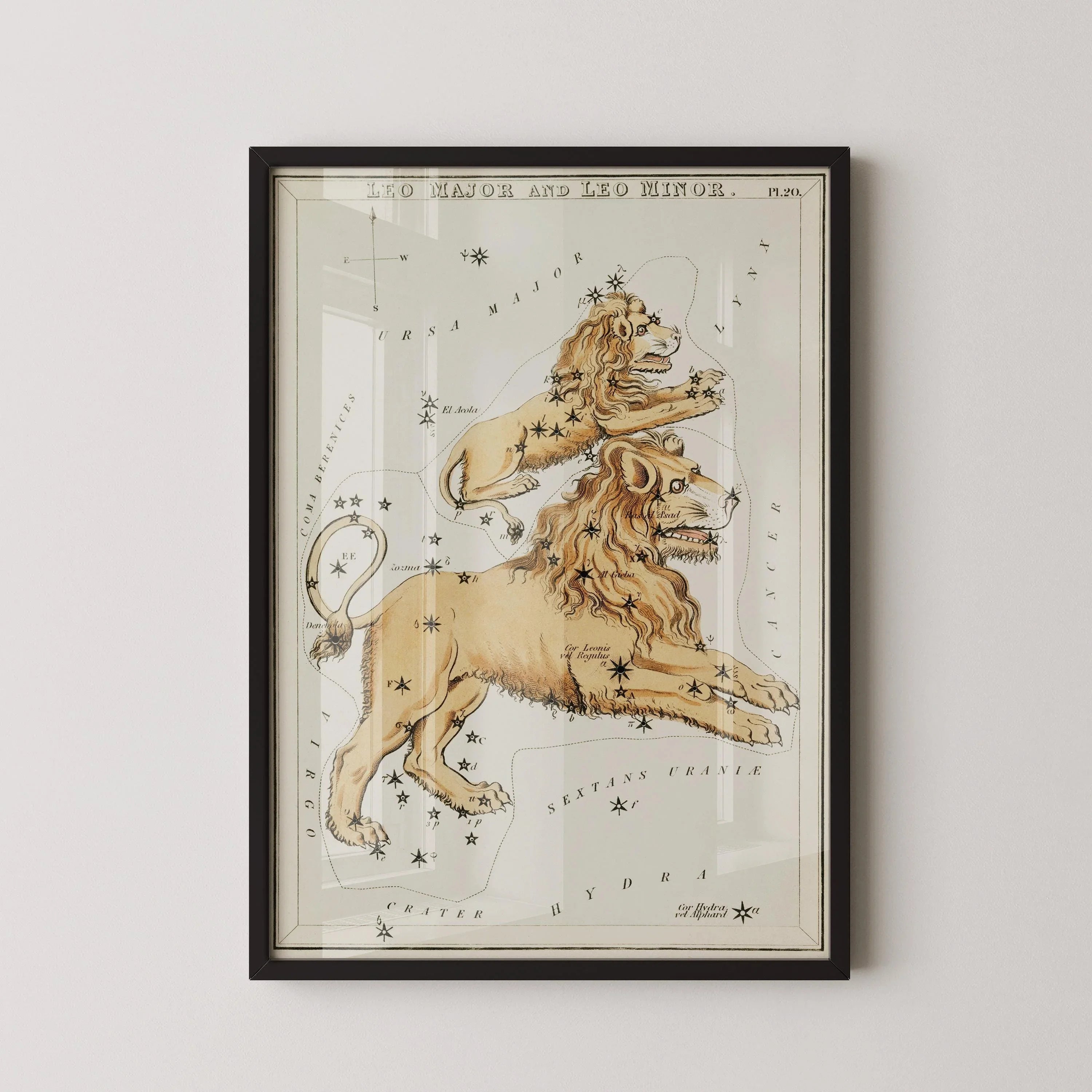 Personalizable Vintage Astrological Sign Print - Leo | Sidney Hall Art (available handframed or unframed) - 9ArtPrints