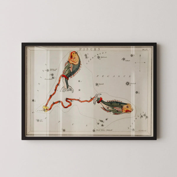 Sidney Hall — Pisces | Vintage Celestial Star Chart Print