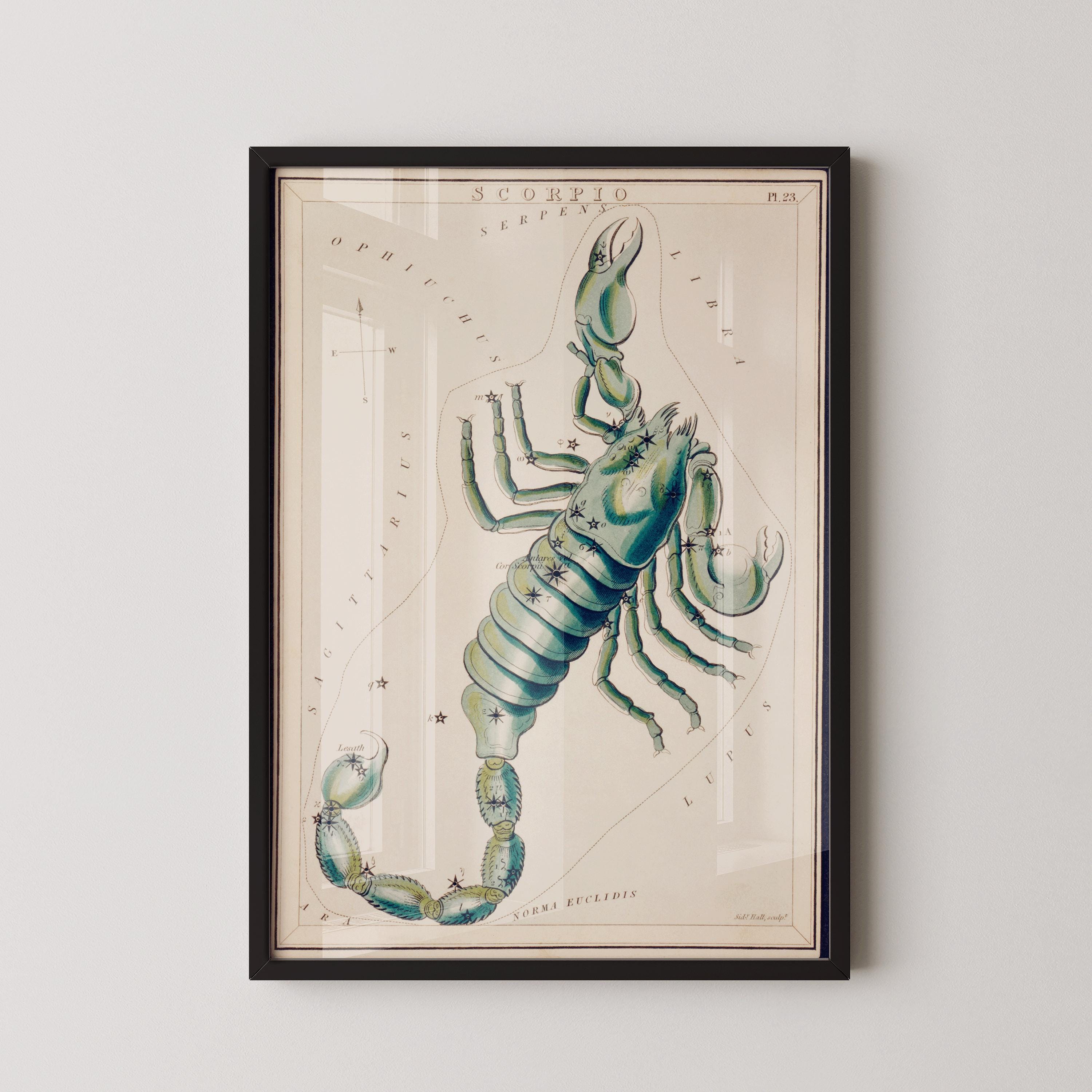 Personalizable Vintage Astrological Sign Print - Scorpio | Sidney Hall Art (available handframed or unframed) - 9ArtPrints