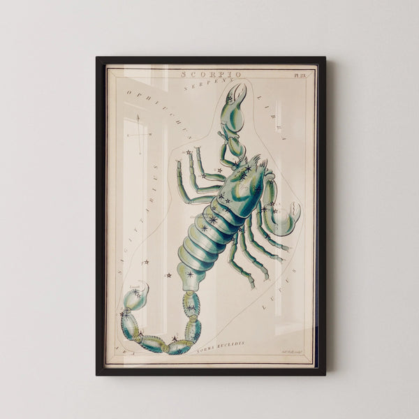 Sidney Hall — Scorpio | Vintage Celestial Star Chart Print