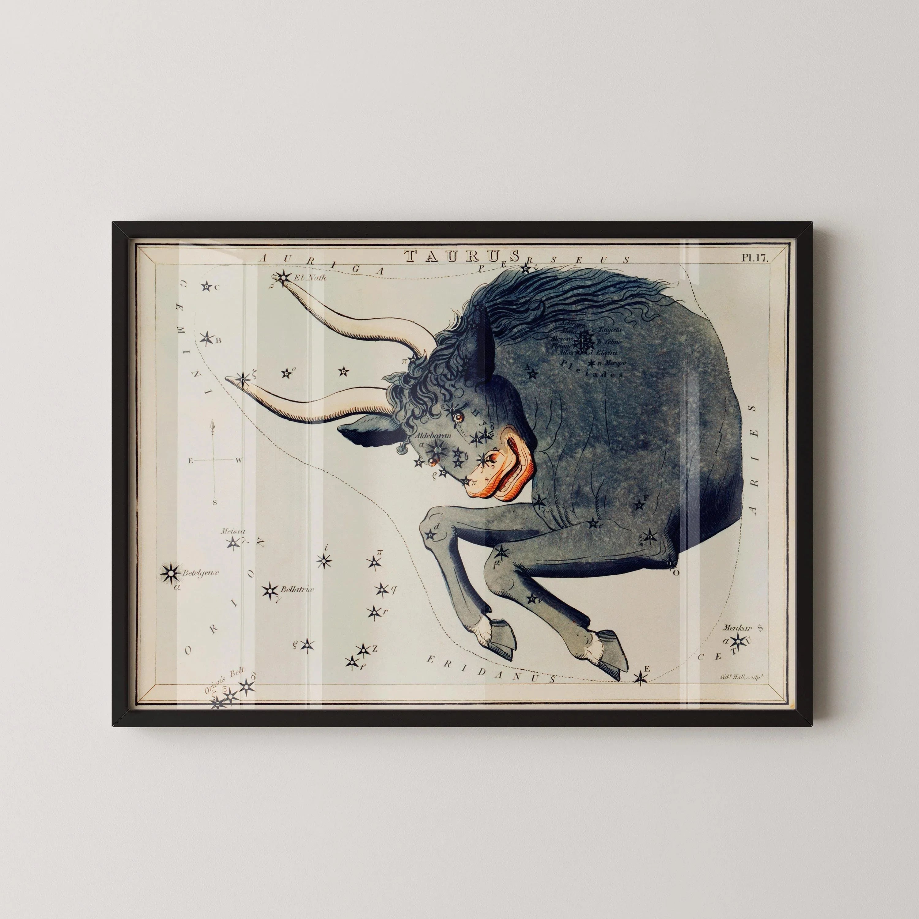 Personalizable Vintage Astrological Sign Print - Taurus | Sidney Hall Art (available handframed or unframed) - 9ArtPrints